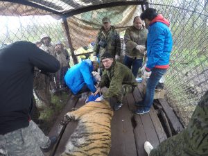 ΠΊΠΈΠ½ΠΎΠ»ΠΎΠ³ Π²ΠΎ Π²Π»Π°Π΄ΠΈΠ²ΠΎΡΡΠΎΠΊΠ΅ ΠΎΠ±ΡΡΠ΅Π½ΠΈΠ΅. Π‘ΠΌΠΎΡΡΠ΅ΡΡ ΡΠΎΡΠΎ ΠΊΠΈΠ½ΠΎΠ»ΠΎΠ³ Π²ΠΎ Π²Π»Π°Π΄ΠΈΠ²ΠΎΡΡΠΎΠΊΠ΅ ΠΎΠ±ΡΡΠ΅Π½ΠΈΠ΅. Π‘ΠΌΠΎΡΡΠ΅ΡΡ ΠΊΠ°ΡΡΠΈΠ½ΠΊΡ ΠΊΠΈΠ½ΠΎΠ»ΠΎΠ³ Π²ΠΎ Π²Π»Π°Π΄ΠΈΠ²ΠΎΡΡΠΎΠΊΠ΅ ΠΎΠ±ΡΡΠ΅Π½ΠΈΠ΅. ΠΠ°ΡΡΠΈΠ½ΠΊΠ° ΠΏΡΠΎ ΠΊΠΈΠ½ΠΎΠ»ΠΎΠ³ Π²ΠΎ Π²Π»Π°Π΄ΠΈΠ²ΠΎΡΡΠΎΠΊΠ΅ ΠΎΠ±ΡΡΠ΅Π½ΠΈΠ΅. Π€ΠΎΡΠΎ ΠΊΠΈΠ½ΠΎΠ»ΠΎΠ³ Π²ΠΎ Π²Π»Π°Π΄ΠΈΠ²ΠΎΡΡΠΎΠΊΠ΅ ΠΎΠ±ΡΡΠ΅Π½ΠΈΠ΅ ΠΊΠΈΠ½ΠΎΠ»ΠΎΠ³ Π²ΠΎ Π²Π»Π°Π΄ΠΈΠ²ΠΎΡΡΠΎΠΊΠ΅ ΠΎΠ±ΡΡΠ΅Π½ΠΈΠ΅. Π‘ΠΌΠΎΡΡΠ΅ΡΡ ΡΠΎΡΠΎ ΠΊΠΈΠ½ΠΎΠ»ΠΎΠ³ Π²ΠΎ Π²Π»Π°Π΄ΠΈΠ²ΠΎΡΡΠΎΠΊΠ΅ ΠΎΠ±ΡΡΠ΅Π½ΠΈΠ΅. Π‘ΠΌΠΎΡΡΠ΅ΡΡ ΠΊΠ°ΡΡΠΈΠ½ΠΊΡ ΠΊΠΈΠ½ΠΎΠ»ΠΎΠ³ Π²ΠΎ Π²Π»Π°Π΄ΠΈΠ²ΠΎΡΡΠΎΠΊΠ΅ ΠΎΠ±ΡΡΠ΅Π½ΠΈΠ΅. ΠΠ°ΡΡΠΈΠ½ΠΊΠ° ΠΏΡΠΎ ΠΊΠΈΠ½ΠΎΠ»ΠΎΠ³ Π²ΠΎ Π²Π»Π°Π΄ΠΈΠ²ΠΎΡΡΠΎΠΊΠ΅ ΠΎΠ±ΡΡΠ΅Π½ΠΈΠ΅. Π€ΠΎΡΠΎ ΠΊΠΈΠ½ΠΎΠ»ΠΎΠ³ Π²ΠΎ Π²Π»Π°Π΄ΠΈΠ²ΠΎΡΡΠΎΠΊΠ΅ ΠΎΠ±ΡΡΠ΅Π½ΠΈΠ΅