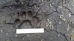 ΠΊΠΈΠ½ΠΎΠ»ΠΎΠ³ Π²ΠΎ Π²Π»Π°Π΄ΠΈΠ²ΠΎΡΡΠΎΠΊΠ΅ ΠΎΠ±ΡΡΠ΅Π½ΠΈΠ΅. Π‘ΠΌΠΎΡΡΠ΅ΡΡ ΡΠΎΡΠΎ ΠΊΠΈΠ½ΠΎΠ»ΠΎΠ³ Π²ΠΎ Π²Π»Π°Π΄ΠΈΠ²ΠΎΡΡΠΎΠΊΠ΅ ΠΎΠ±ΡΡΠ΅Π½ΠΈΠ΅. Π‘ΠΌΠΎΡΡΠ΅ΡΡ ΠΊΠ°ΡΡΠΈΠ½ΠΊΡ ΠΊΠΈΠ½ΠΎΠ»ΠΎΠ³ Π²ΠΎ Π²Π»Π°Π΄ΠΈΠ²ΠΎΡΡΠΎΠΊΠ΅ ΠΎΠ±ΡΡΠ΅Π½ΠΈΠ΅. ΠΠ°ΡΡΠΈΠ½ΠΊΠ° ΠΏΡΠΎ ΠΊΠΈΠ½ΠΎΠ»ΠΎΠ³ Π²ΠΎ Π²Π»Π°Π΄ΠΈΠ²ΠΎΡΡΠΎΠΊΠ΅ ΠΎΠ±ΡΡΠ΅Π½ΠΈΠ΅. Π€ΠΎΡΠΎ ΠΊΠΈΠ½ΠΎΠ»ΠΎΠ³ Π²ΠΎ Π²Π»Π°Π΄ΠΈΠ²ΠΎΡΡΠΎΠΊΠ΅ ΠΎΠ±ΡΡΠ΅Π½ΠΈΠ΅ ΠΊΠΈΠ½ΠΎΠ»ΠΎΠ³ Π²ΠΎ Π²Π»Π°Π΄ΠΈΠ²ΠΎΡΡΠΎΠΊΠ΅ ΠΎΠ±ΡΡΠ΅Π½ΠΈΠ΅. Π‘ΠΌΠΎΡΡΠ΅ΡΡ ΡΠΎΡΠΎ ΠΊΠΈΠ½ΠΎΠ»ΠΎΠ³ Π²ΠΎ Π²Π»Π°Π΄ΠΈΠ²ΠΎΡΡΠΎΠΊΠ΅ ΠΎΠ±ΡΡΠ΅Π½ΠΈΠ΅. Π‘ΠΌΠΎΡΡΠ΅ΡΡ ΠΊΠ°ΡΡΠΈΠ½ΠΊΡ ΠΊΠΈΠ½ΠΎΠ»ΠΎΠ³ Π²ΠΎ Π²Π»Π°Π΄ΠΈΠ²ΠΎΡΡΠΎΠΊΠ΅ ΠΎΠ±ΡΡΠ΅Π½ΠΈΠ΅. ΠΠ°ΡΡΠΈΠ½ΠΊΠ° ΠΏΡΠΎ ΠΊΠΈΠ½ΠΎΠ»ΠΎΠ³ Π²ΠΎ Π²Π»Π°Π΄ΠΈΠ²ΠΎΡΡΠΎΠΊΠ΅ ΠΎΠ±ΡΡΠ΅Π½ΠΈΠ΅. Π€ΠΎΡΠΎ ΠΊΠΈΠ½ΠΎΠ»ΠΎΠ³ Π²ΠΎ Π²Π»Π°Π΄ΠΈΠ²ΠΎΡΡΠΎΠΊΠ΅ ΠΎΠ±ΡΡΠ΅Π½ΠΈΠ΅